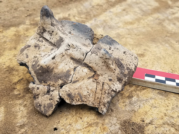 Fragment of a clay vessel with a primitive image of a horned face. A centimeter photo scale lies next to it